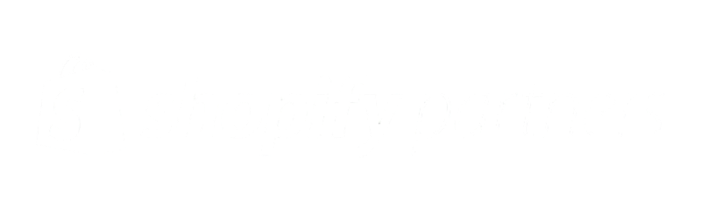 Shopify Partners